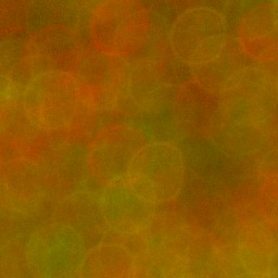 Bokeh-458